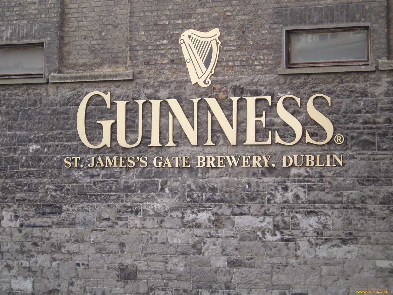 , guinness